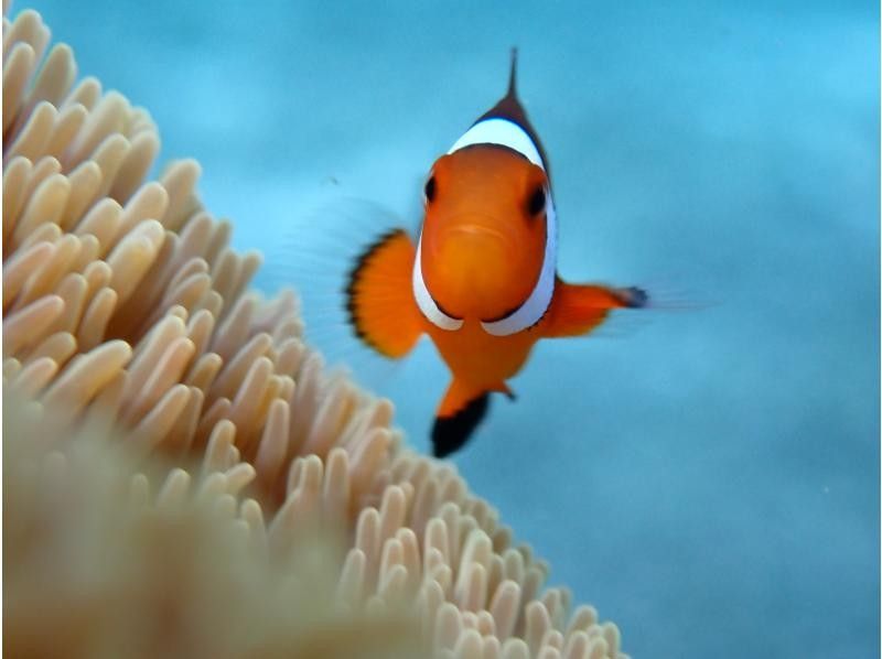 宮古島マリンショップSmiley のギャラリー