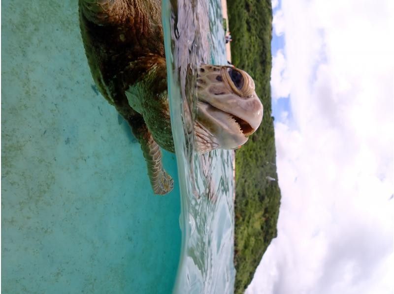 宮古島マリンショップSmiley のギャラリー