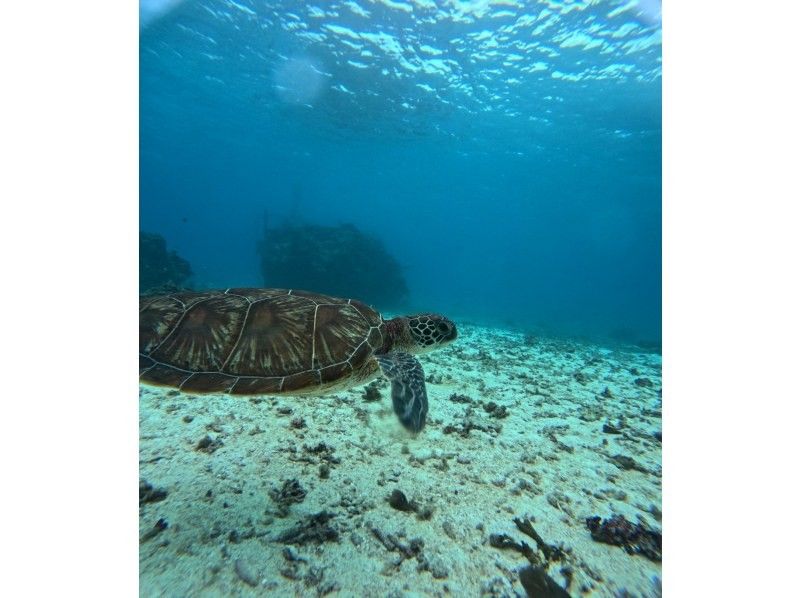 宮古島マリン SUGAR3 のギャラリー