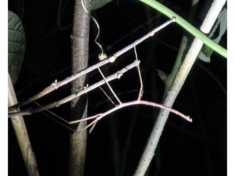 COCO宮古島 のギャラリー