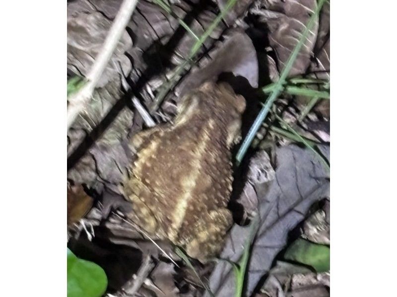 COCO宮古島 のギャラリー