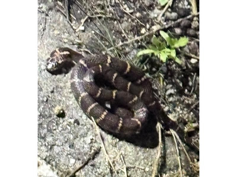 COCO宮古島 のギャラリー