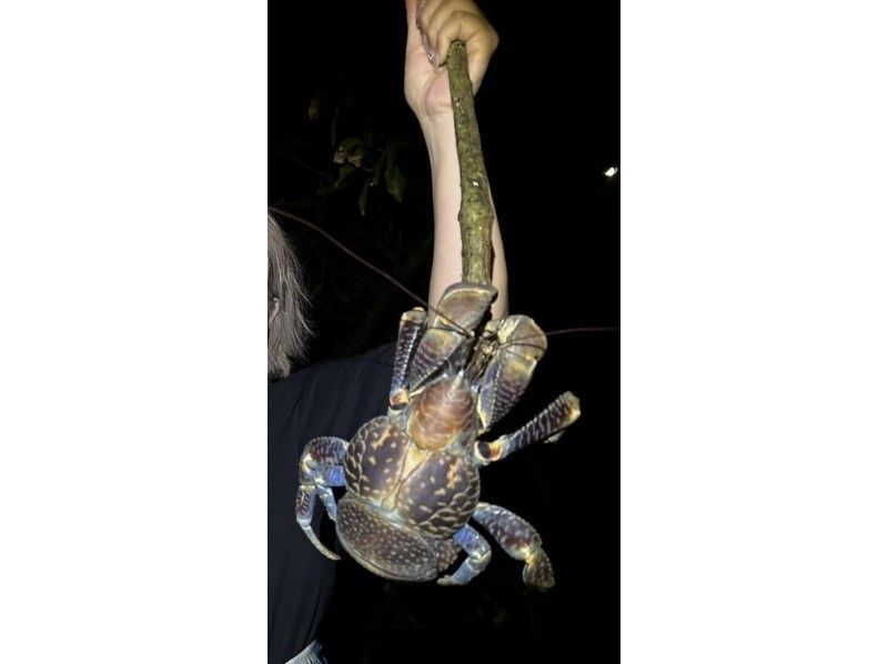 COCO宮古島 のギャラリー