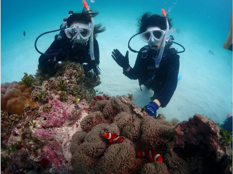 サマードリーム石垣島 のギャラリー