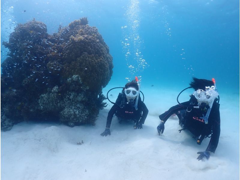 サマードリーム石垣島 のギャラリー