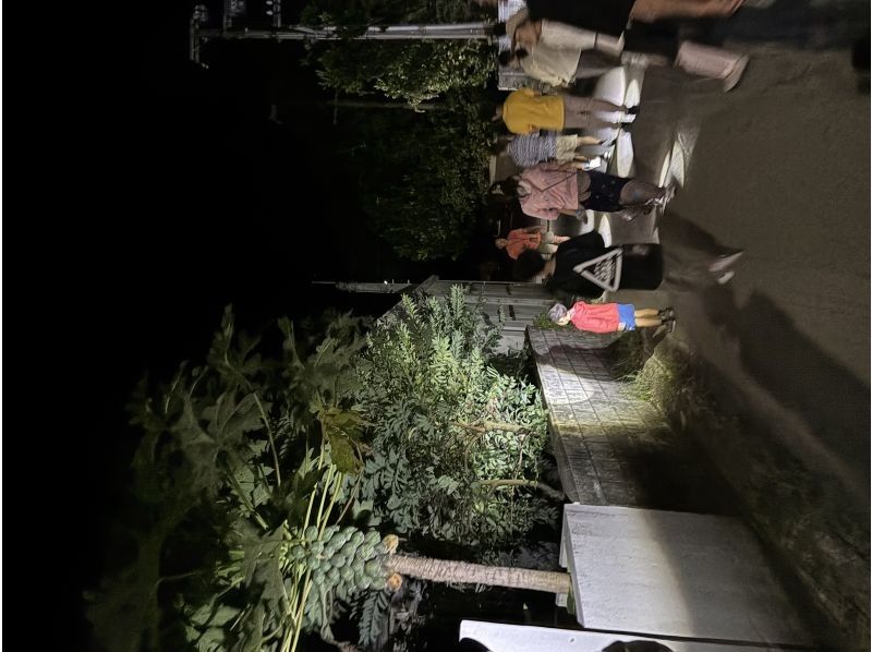 モンキーネイビー のギャラリー