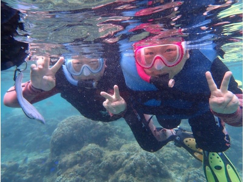 沖縄ダイビングショップ シーフリー(Sea Free) のギャラリー