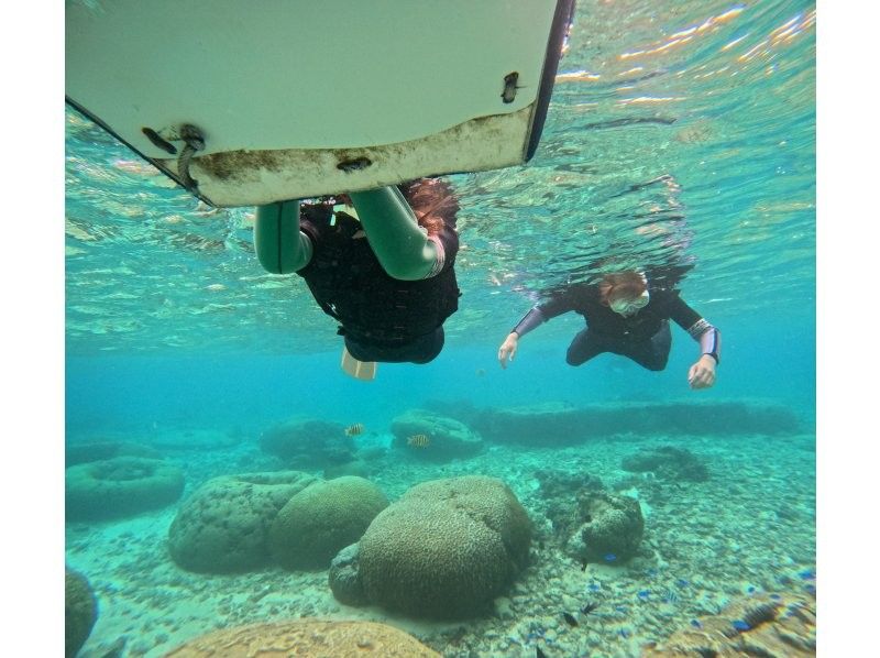 ダイビングショップ リョウ のギャラリー