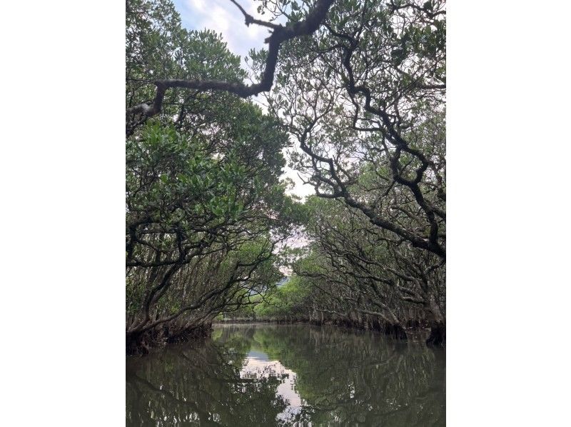 奄美シーランド のギャラリー