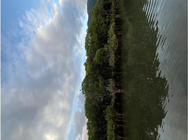 奄美シーランド のギャラリー