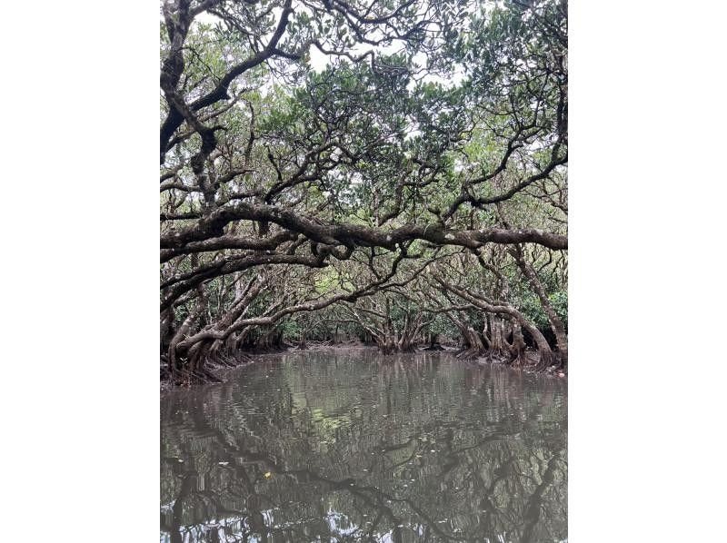 奄美シーランド のギャラリー