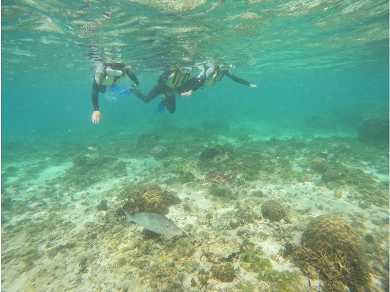 沖縄マリンクラブ結 のギャラリー