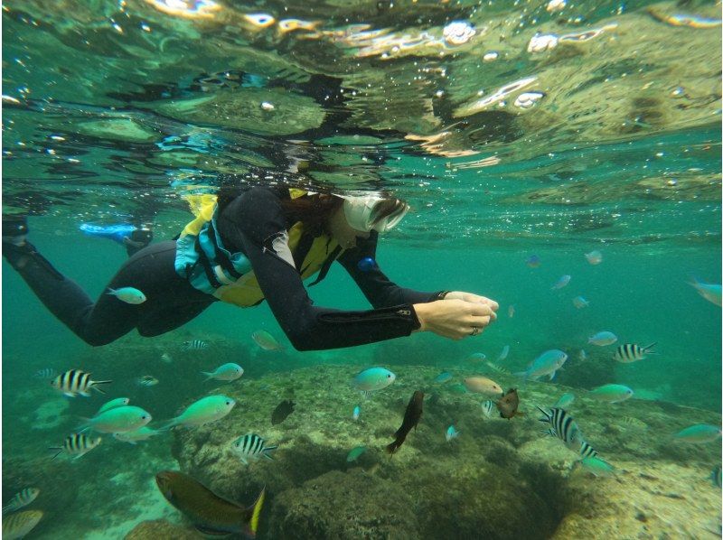 沖縄マリンクラブ結 のギャラリー