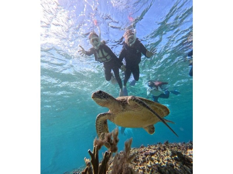 nico 宮古島 のギャラリー