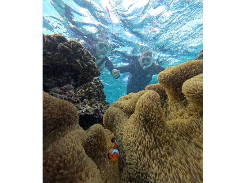 nico 宮古島 のギャラリー