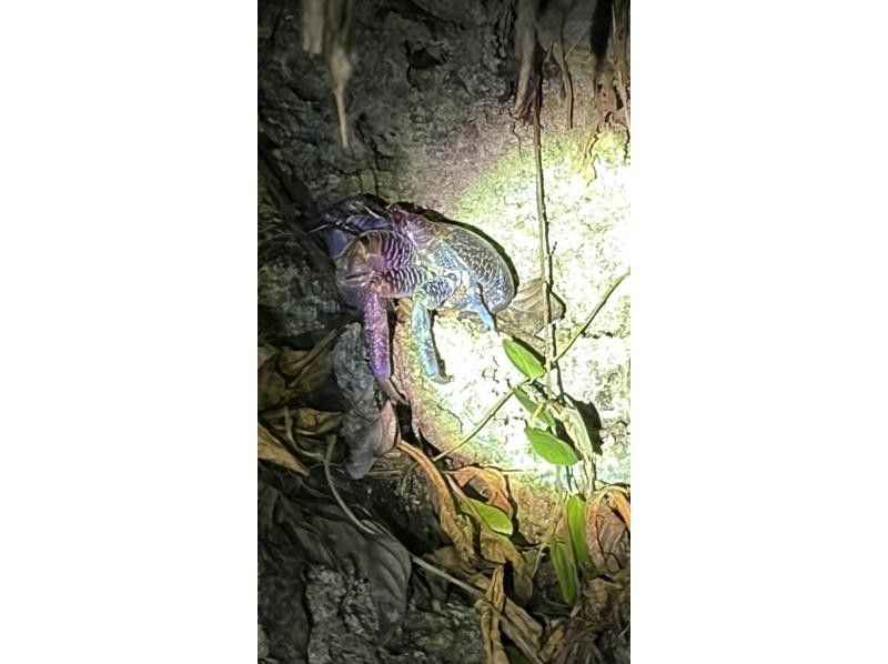 スターライフ石垣島 のギャラリー