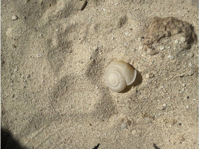 竹ネイチャーアカデミー のギャラリー