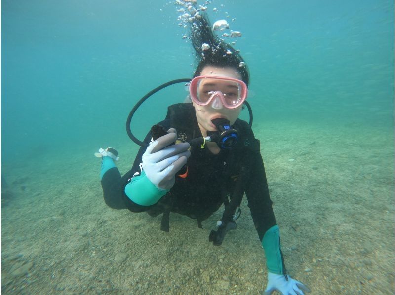 武藤潜水 のギャラリー