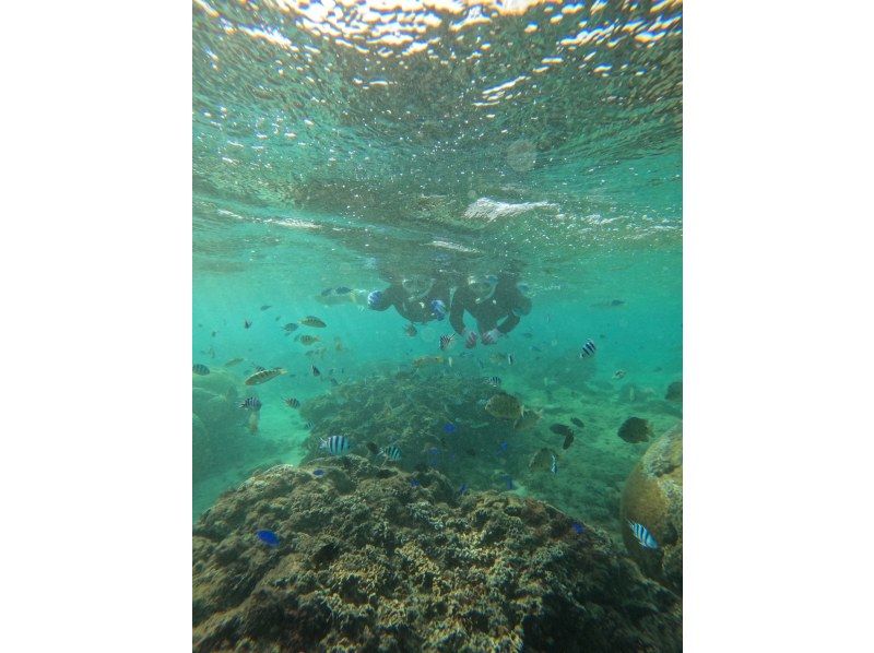 Bal field（バルフィールド） のギャラリー