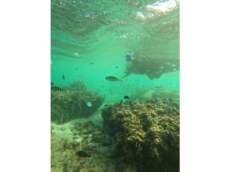 Bal field（バルフィールド） のギャラリー