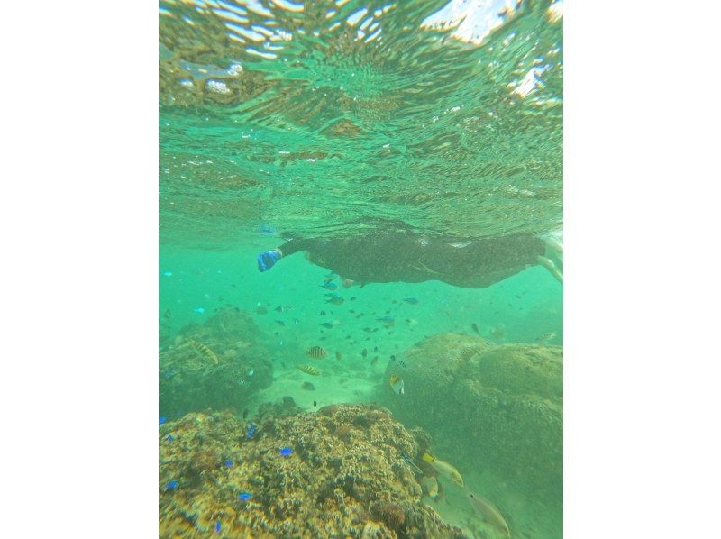 Bal field（バルフィールド） のギャラリー