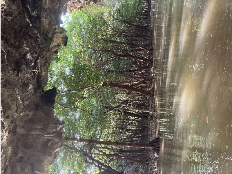 marine house やまんぐぅ～ のギャラリー