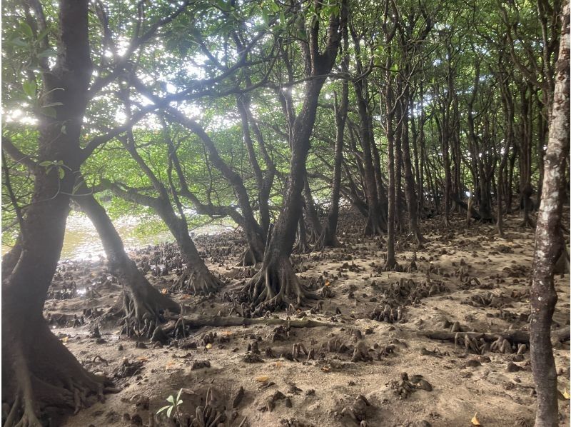 marine house やまんぐぅ～ のギャラリー