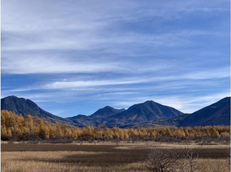株式会社日光自然博物館 のギャラリー