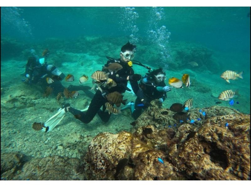 武藤潜水 のギャラリー