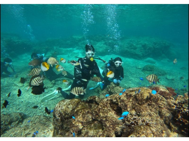 武藤潜水 のギャラリー