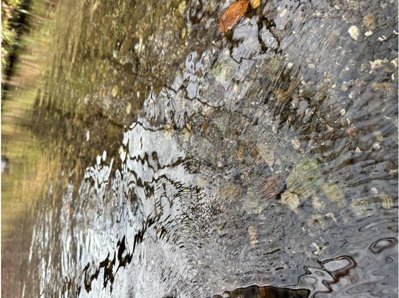 TOIMOK（トイモク） のギャラリー