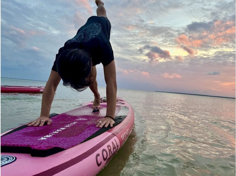 石垣島　ウミガメシュノーケル　マリンショップHAPPY のギャラリー