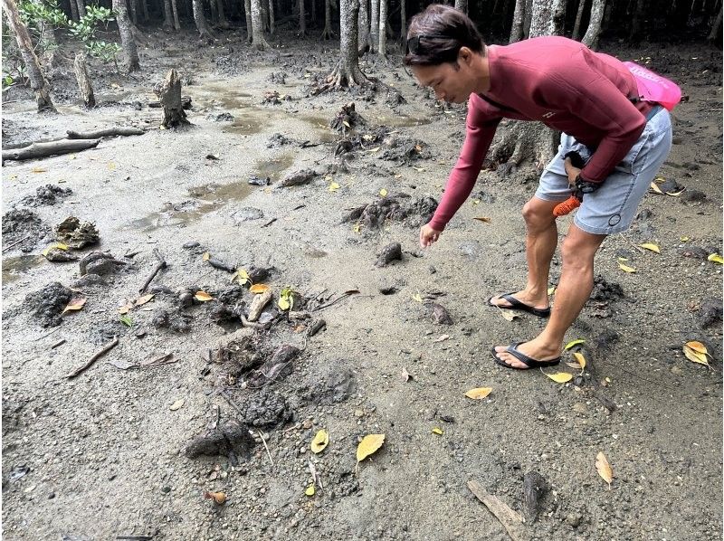 まるまりん のギャラリー