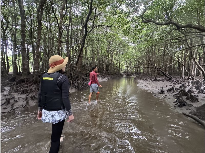 まるまりん のギャラリー