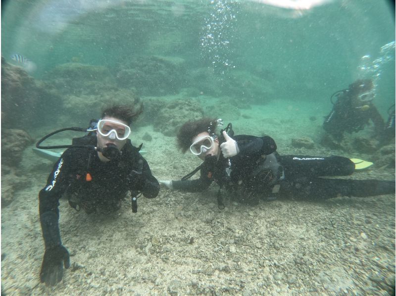 武藤潜水 のギャラリー