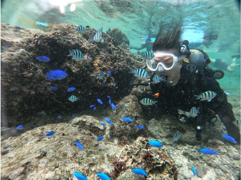 武藤潜水 のギャラリー