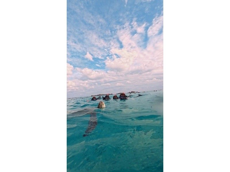 宮古島 ADVENTURE PiPi（ピピ） のギャラリー