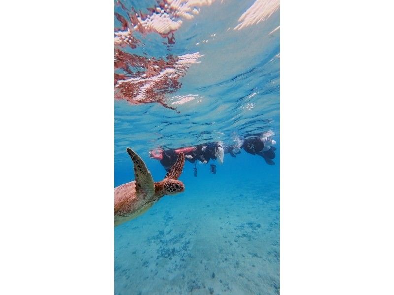 宮古島 ADVENTURE PiPi（ピピ） のギャラリー