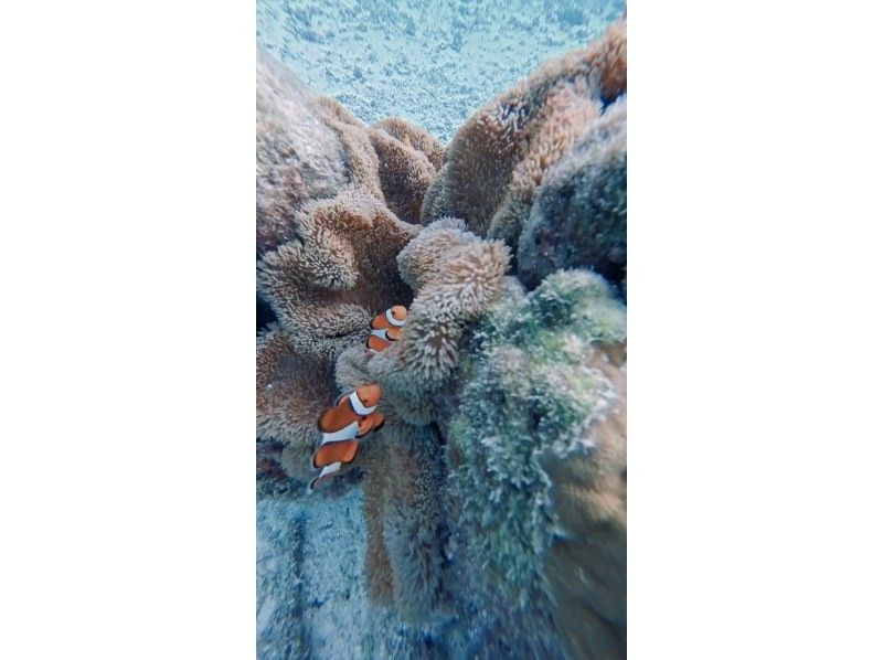 宮古島 ADVENTURE PiPi（ピピ） のギャラリー