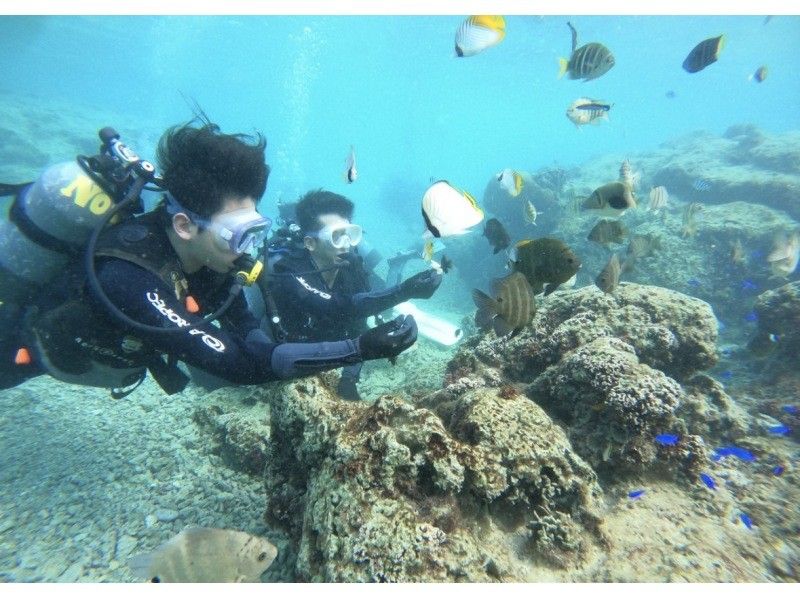 武藤潜水 のギャラリー