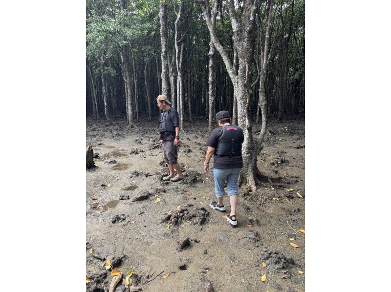 カヤックサービスfree suits石垣 のギャラリー