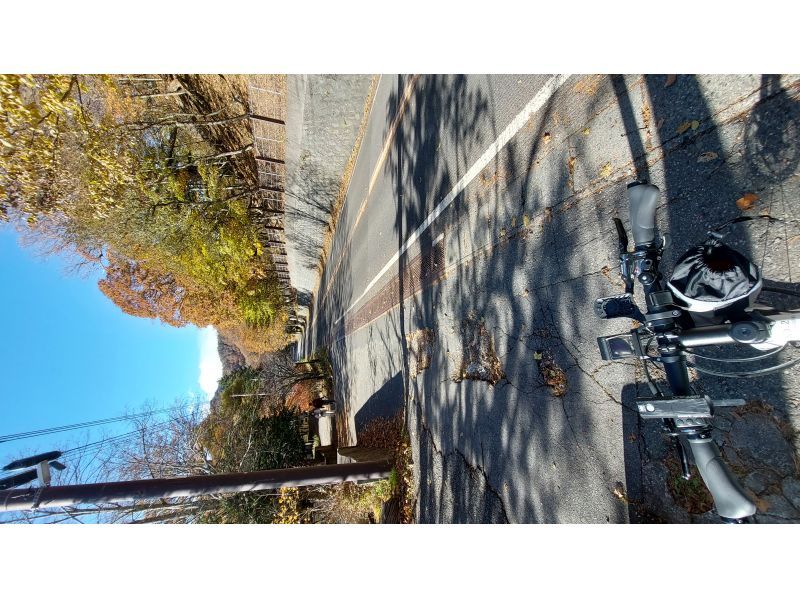 株式会社日光自然博物館 のギャラリー