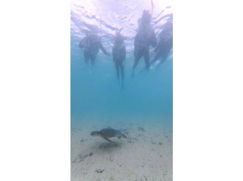 nico 宮古島 のギャラリー