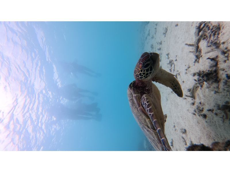 nico 宮古島 のギャラリー