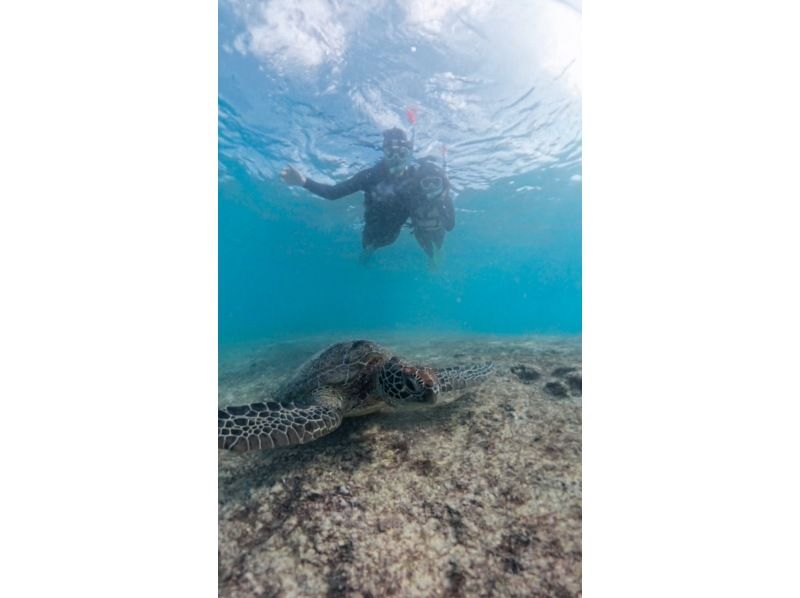 nico 宮古島 のギャラリー