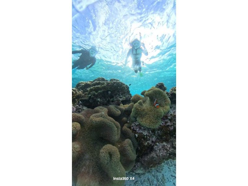 nico 宮古島 のギャラリー