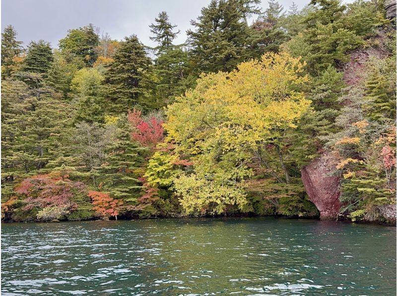 グリランド のギャラリー