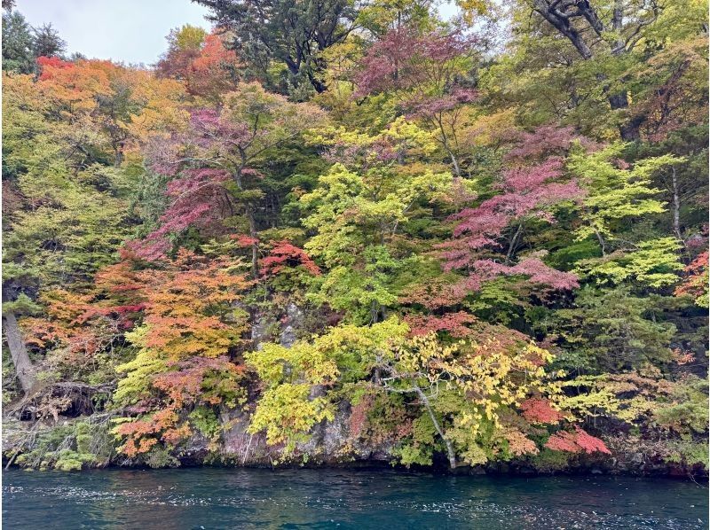 グリランド のギャラリー