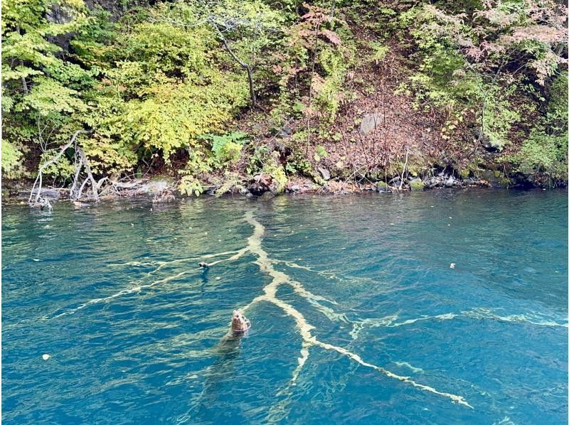 グリランド のギャラリー