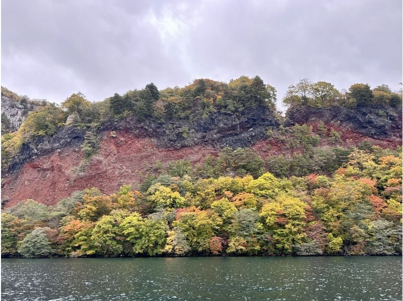 グリランド のギャラリー